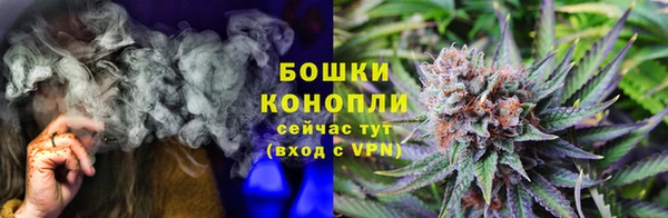 молекула духа Богородск
