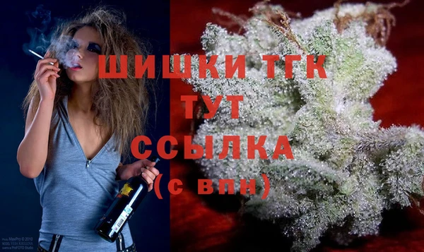 молекула духа Богородск