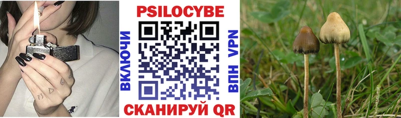 ссылка на мегу онион  Нарткала  Галлюциногенные грибы GOLDEN TEACHER  купить наркоту 